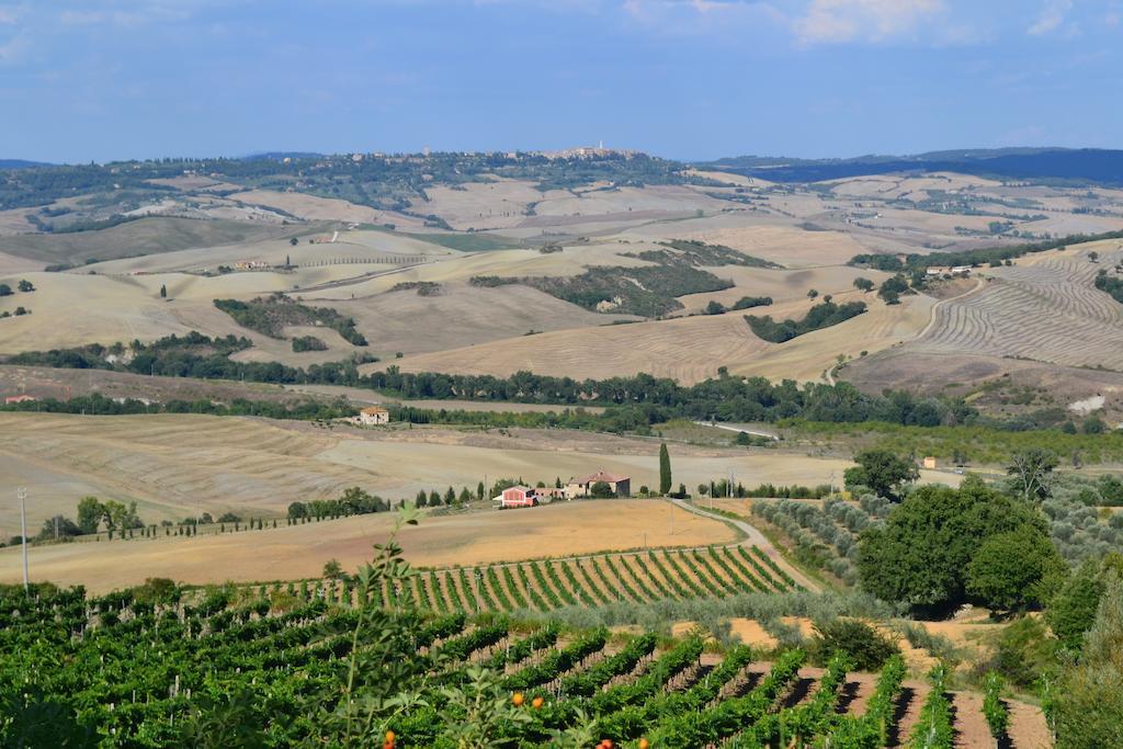 Agriturismo La Disperata Villa San Quirico dʼOrcia Oda fotoğraf
